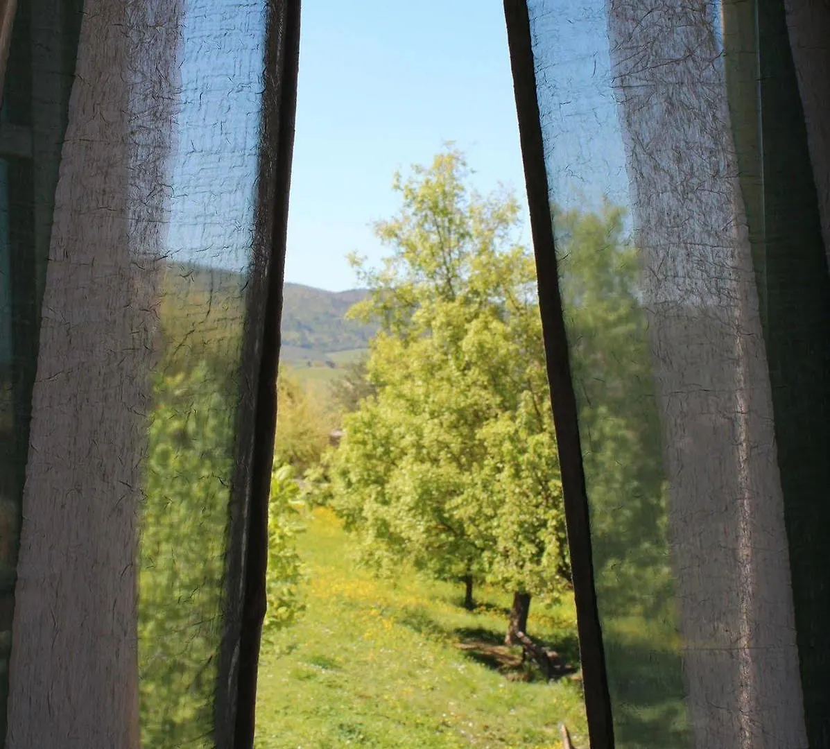 ** B&B Locanda La Mandragola 산지미냐노 이탈리아